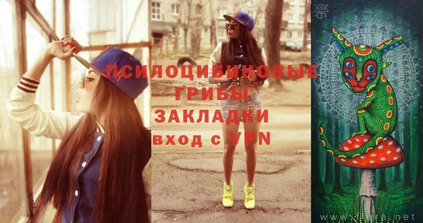 метадон Щучье