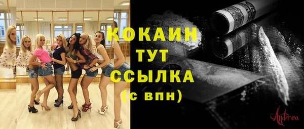 мяу мяу мука Щёлкино