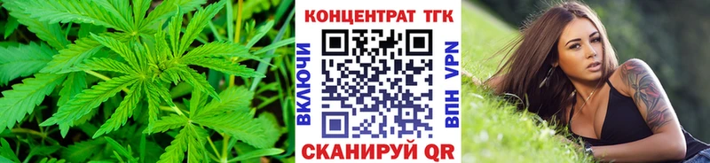 Дистиллят ТГК Wax  Купить закладки  Суздаль 