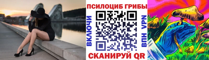 Купить где  Суздаль  Псилоцибиновые грибы мухоморы 