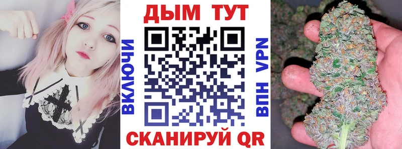 Шишки марихуана OG Kush  Купить где  Суздаль 